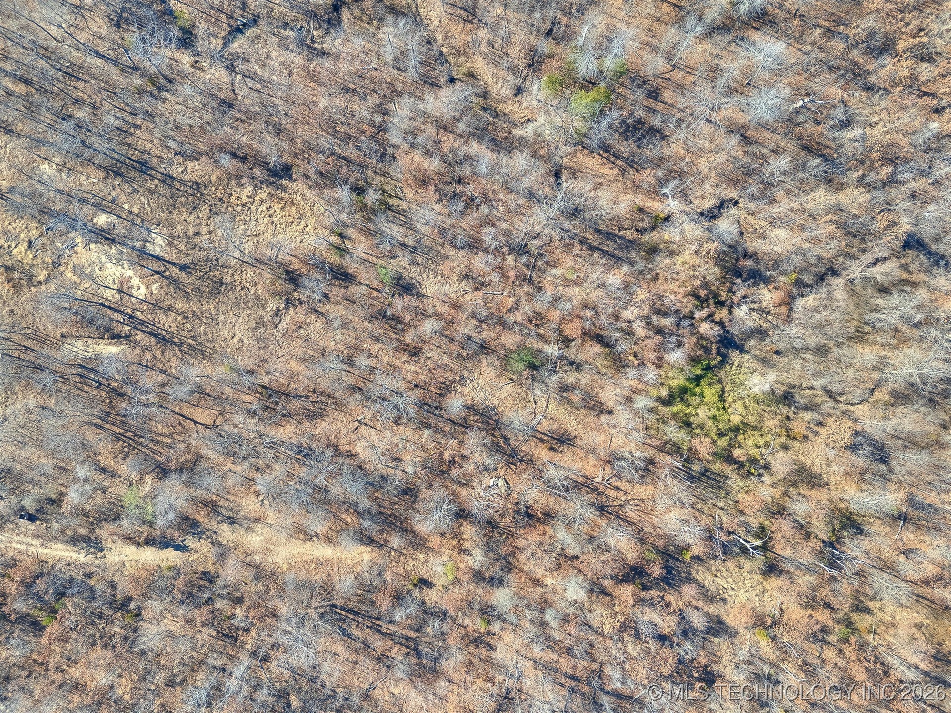 Forest Drive Property Photo 14