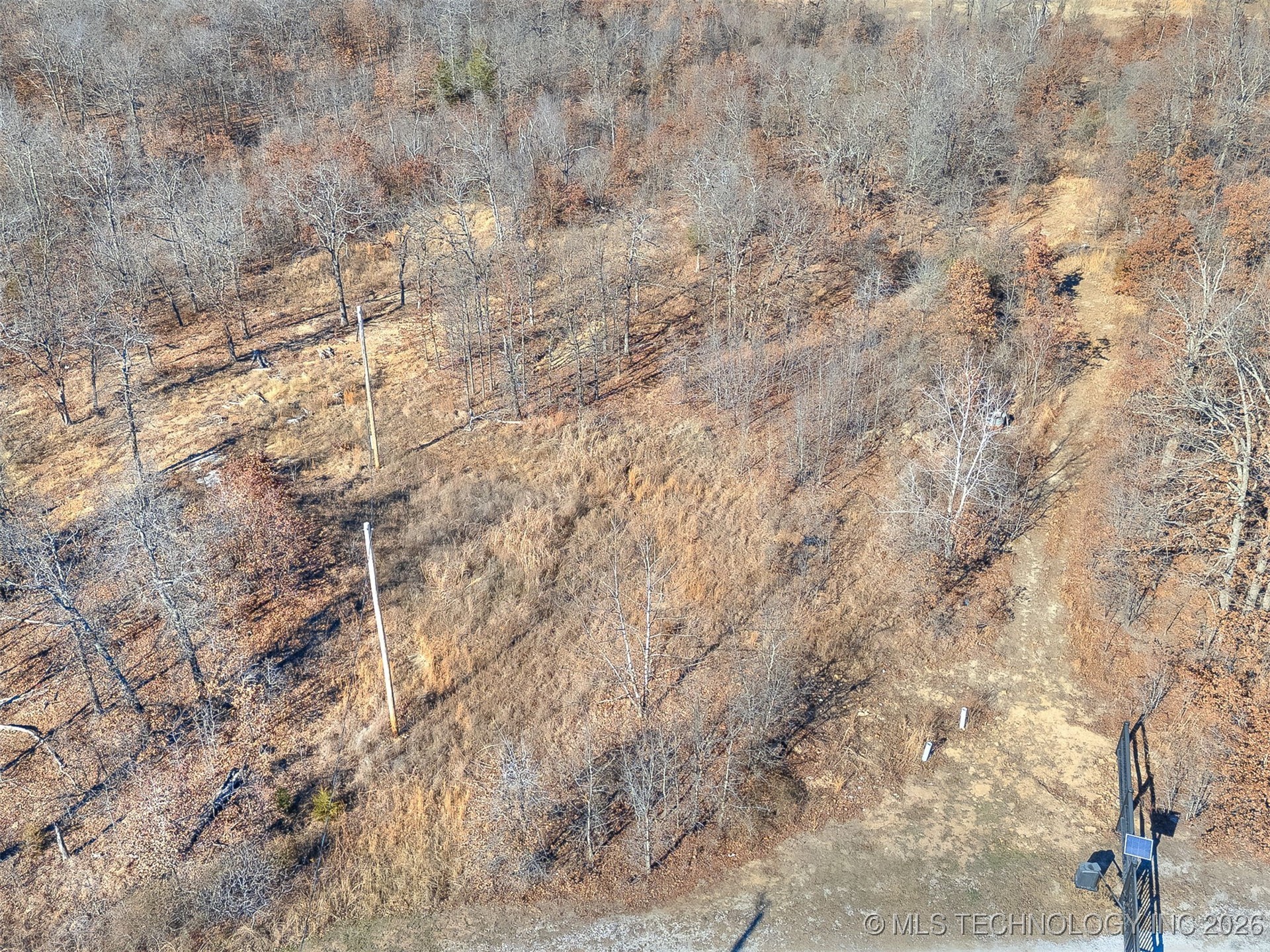 Forest Drive Property Photo 15