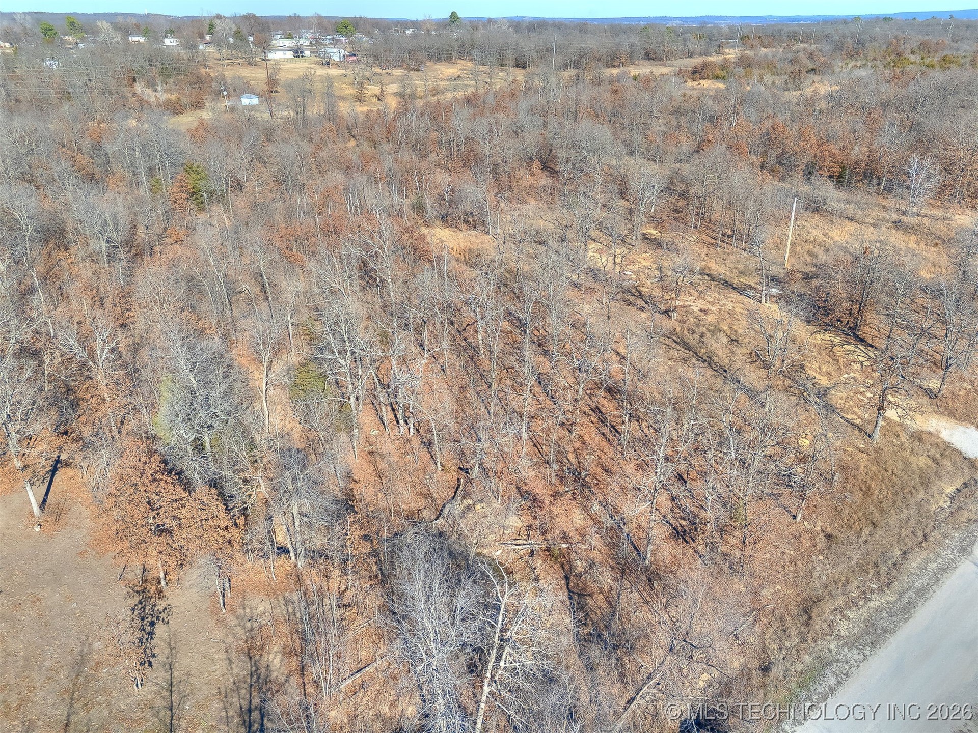 Forest Drive Property Photo 16