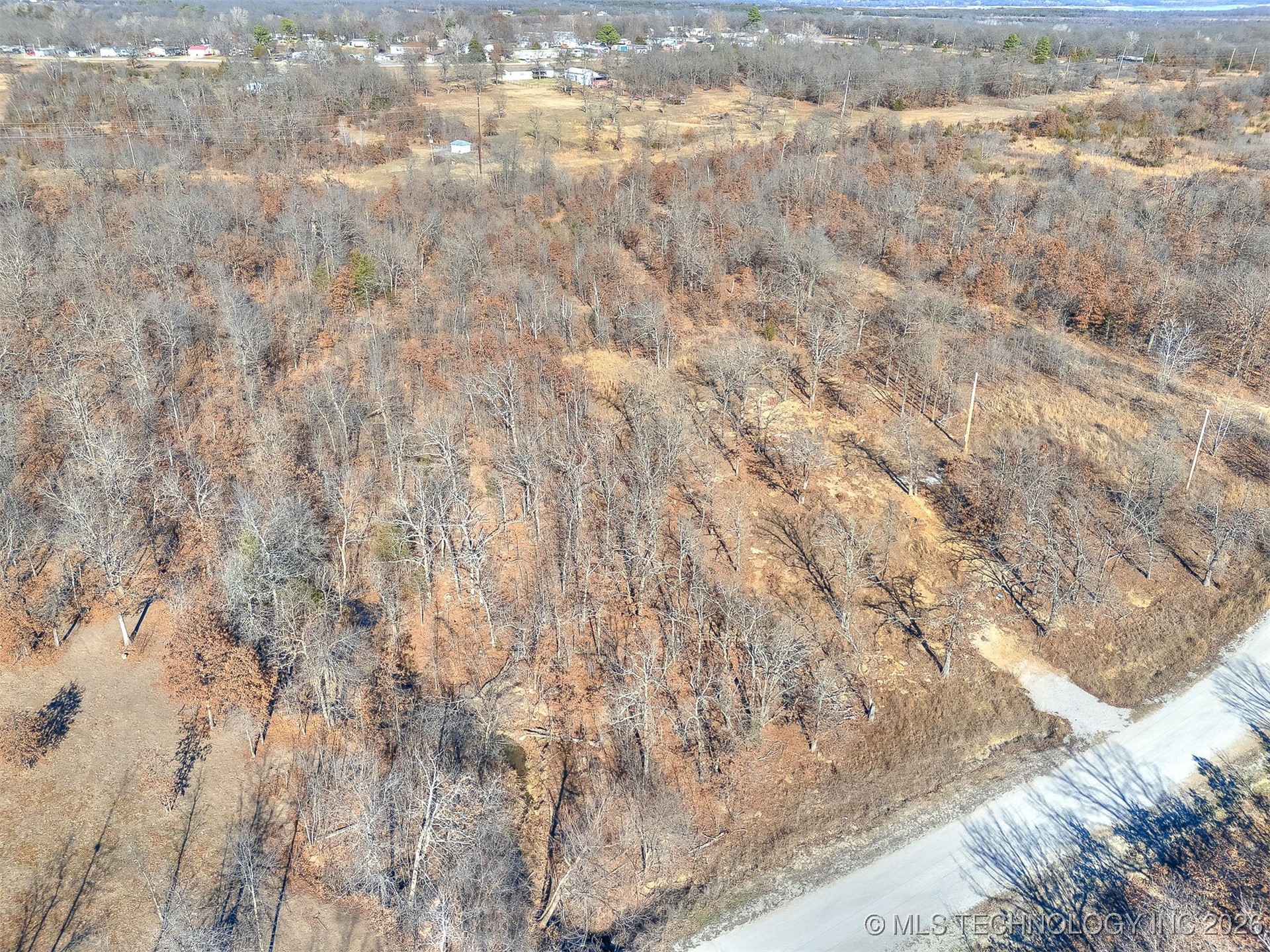 Forest Drive Property Photo 19