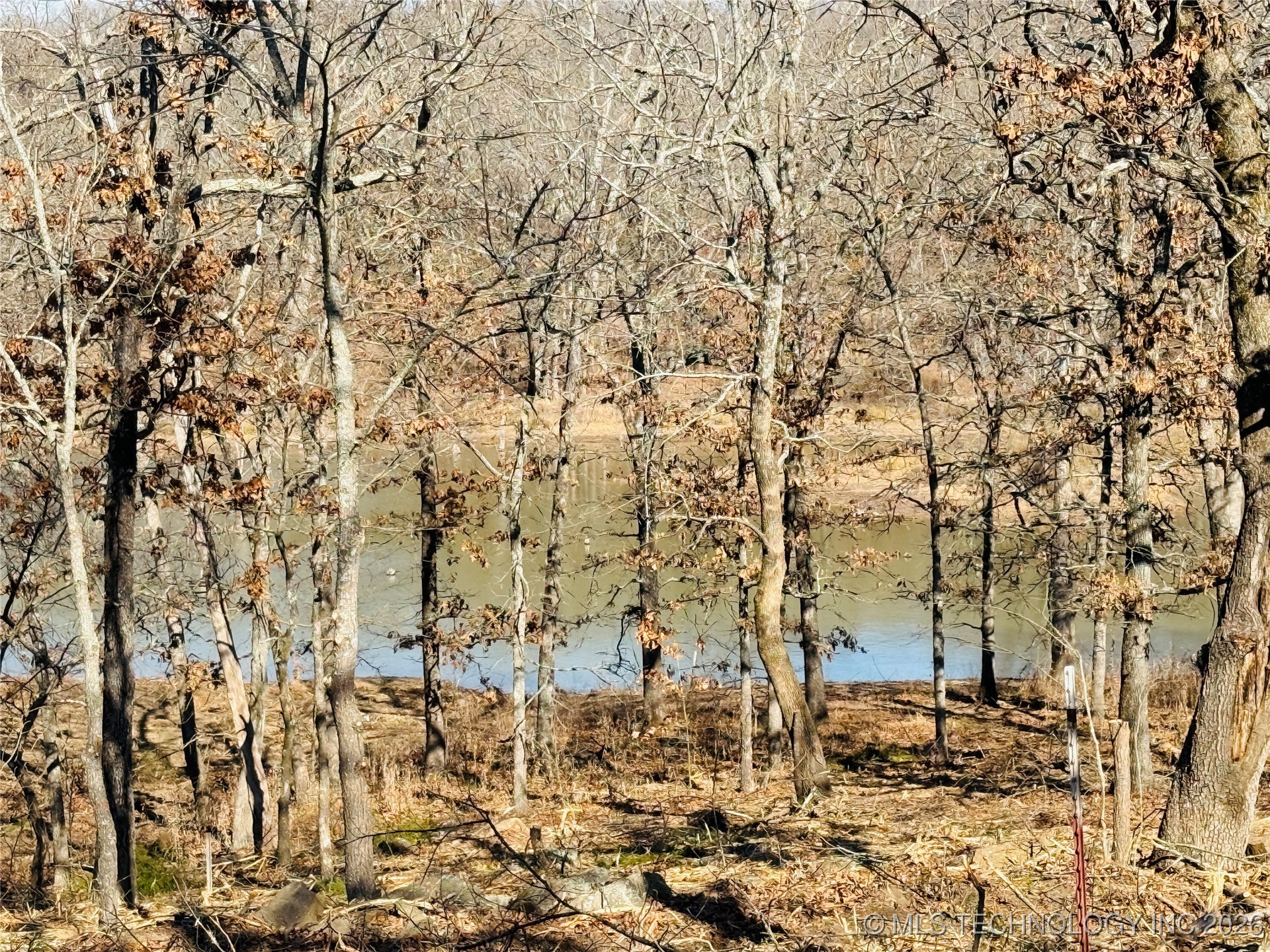 0 Falcon Lane Property Photo 1