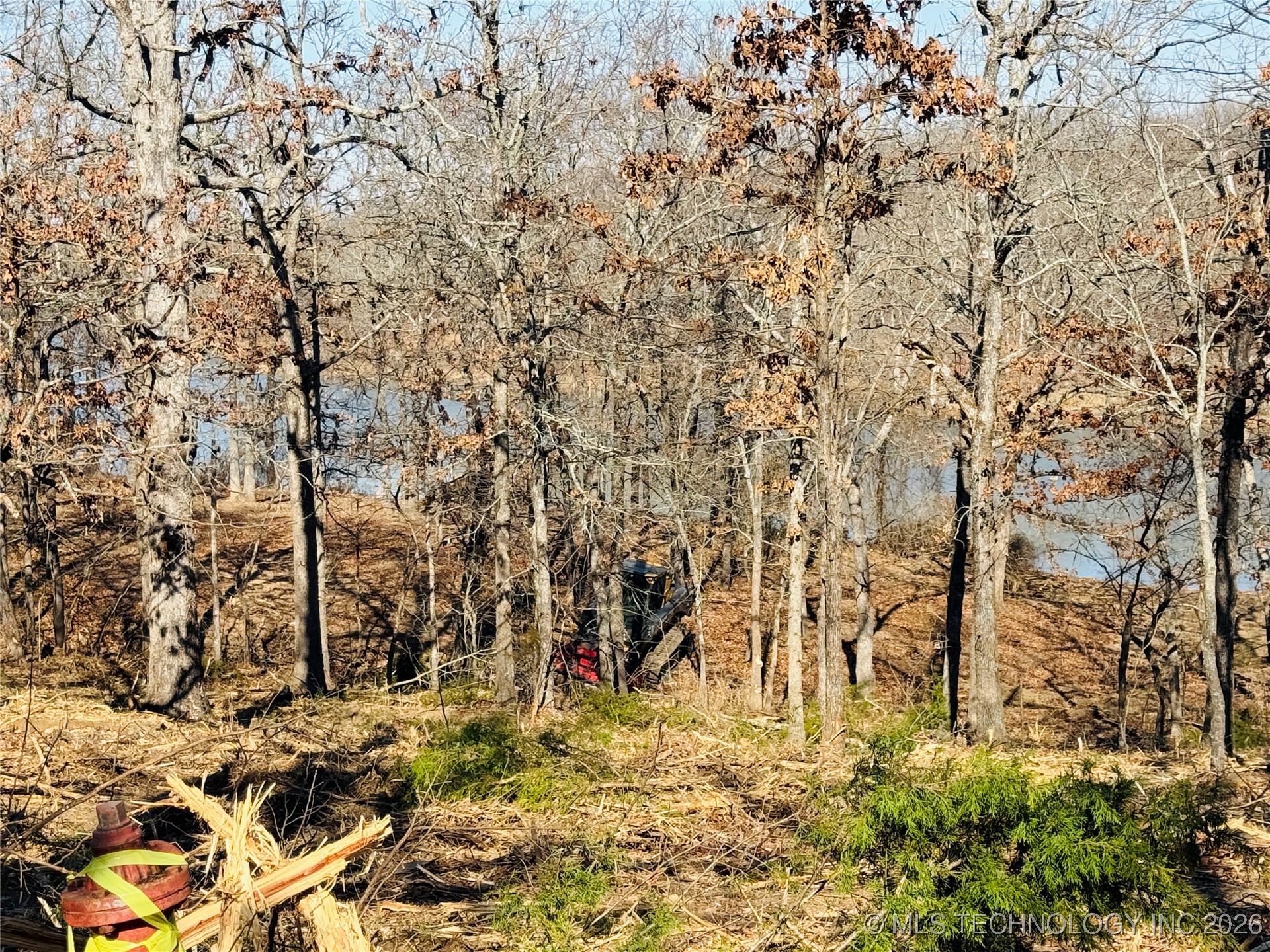 0 Falcon Lane Property Photo 2