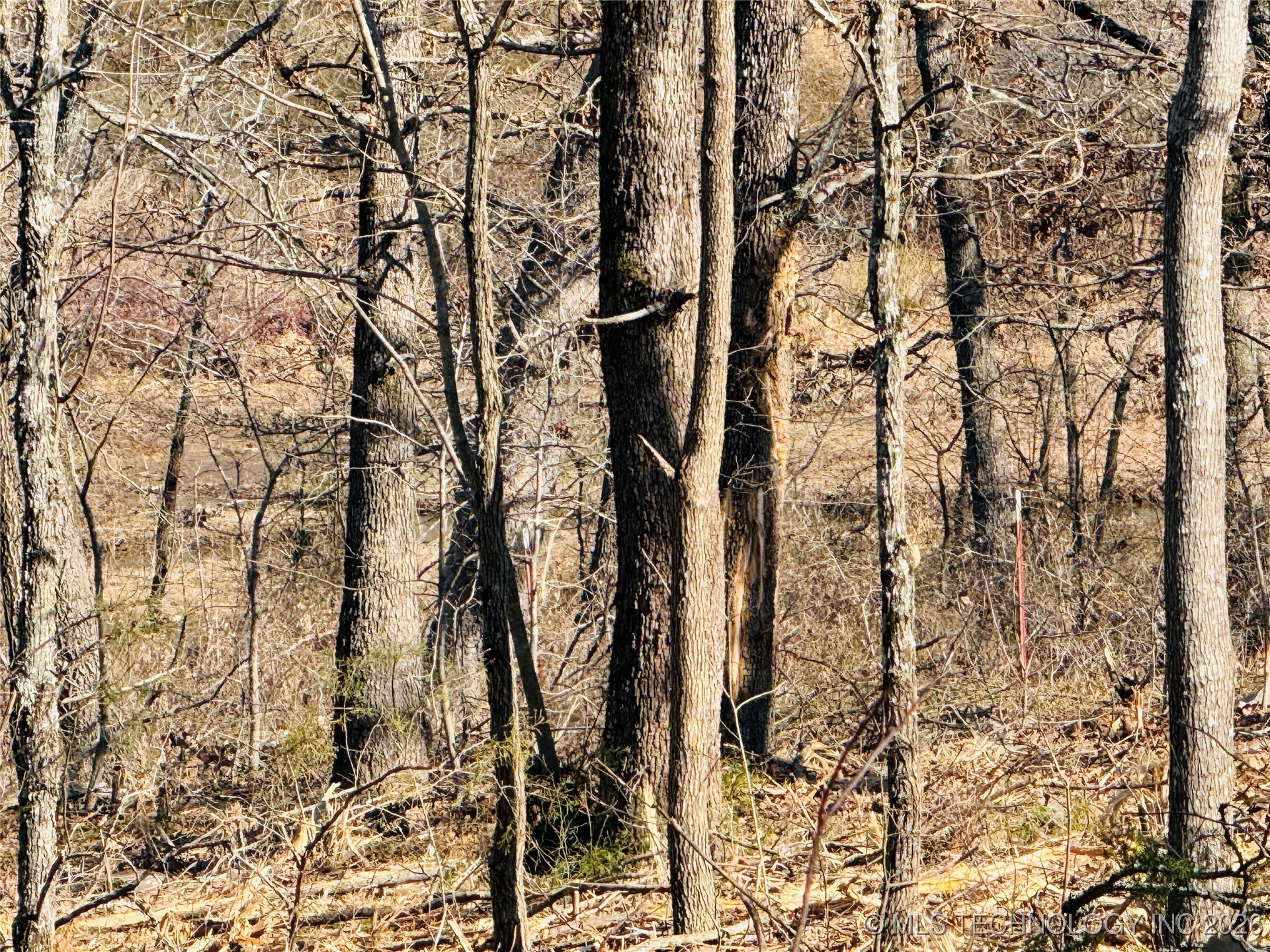 0 Falcon Lane Property Photo 5