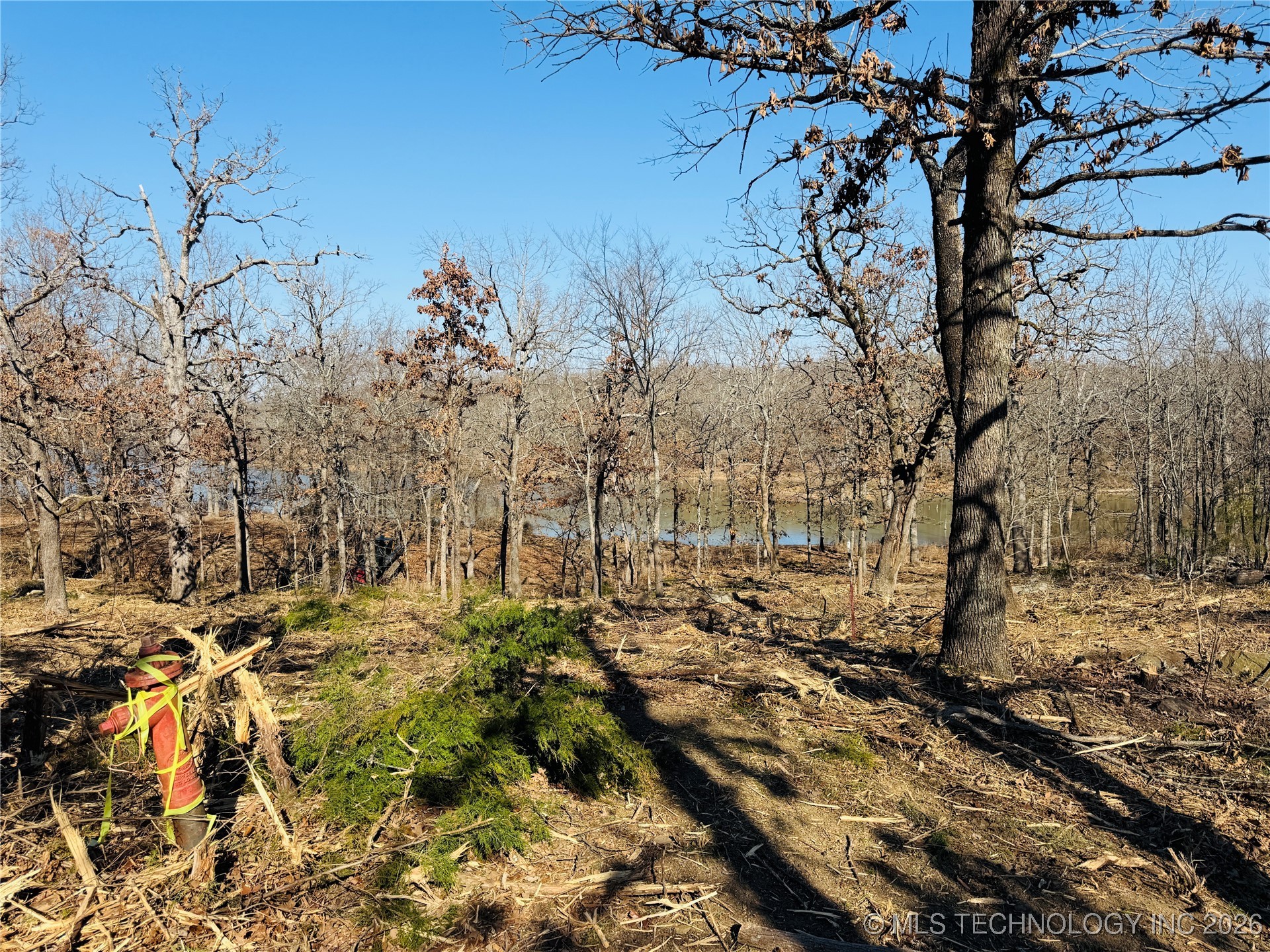 0 Falcon Lane Property Photo 6