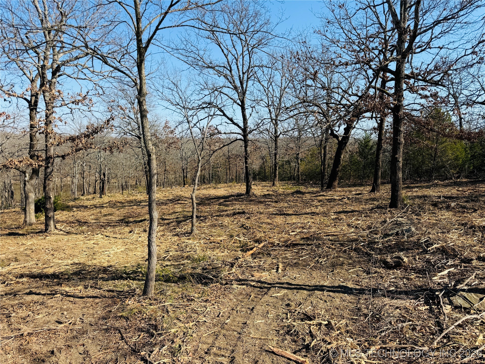 0 Falcon Lane Property Photo 7