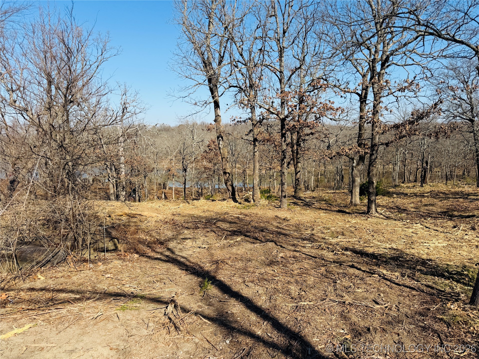 0 Falcon Lane Property Photo 11