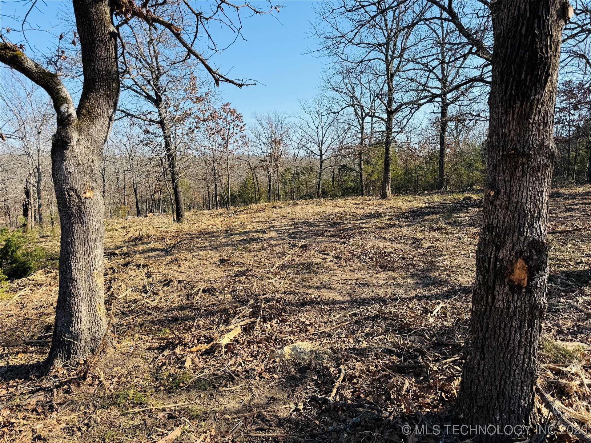 0 Falcon Lane Property Photo 12