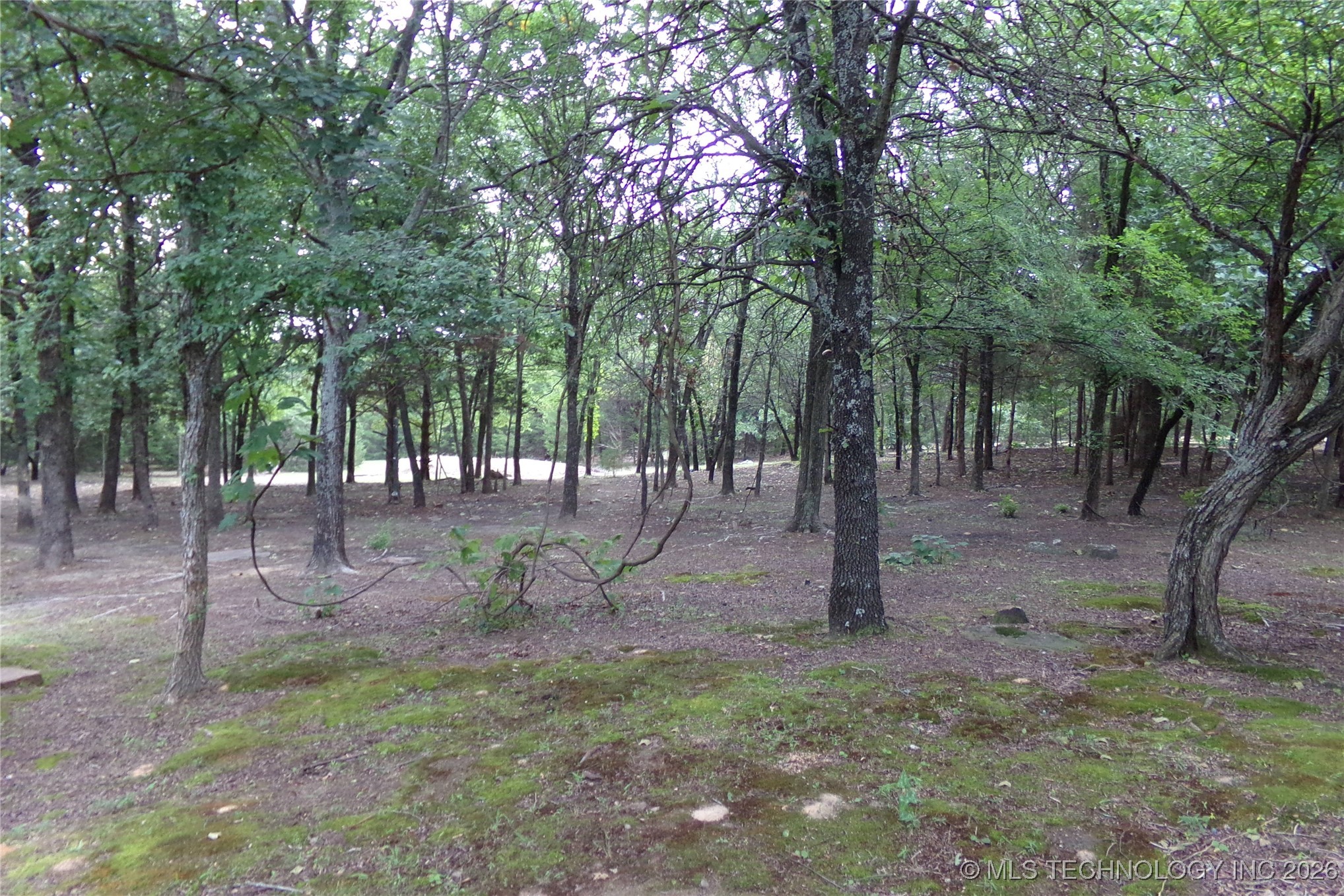 257 Restful Road Property Photo 13