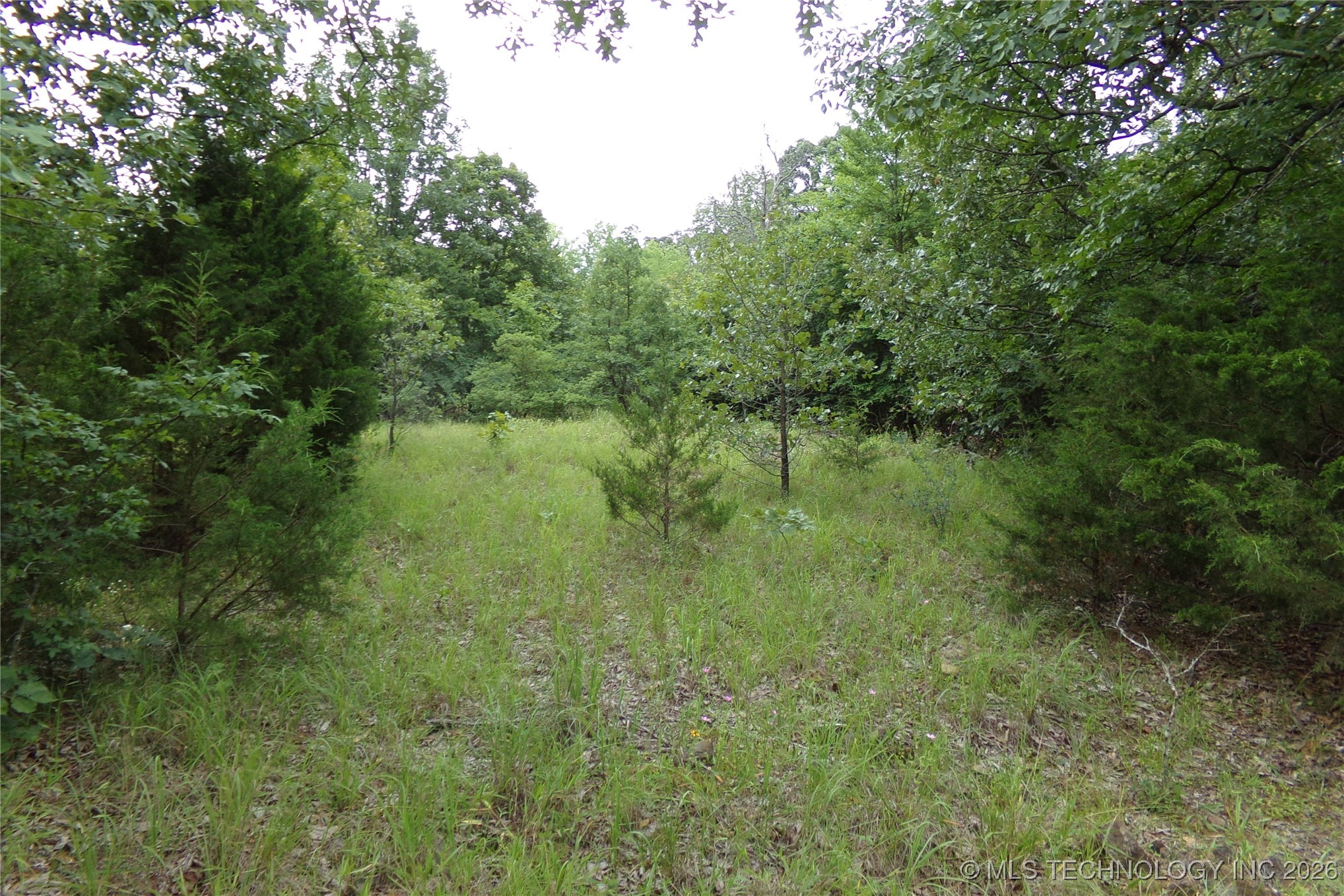 257 Restful Road Property Photo 28