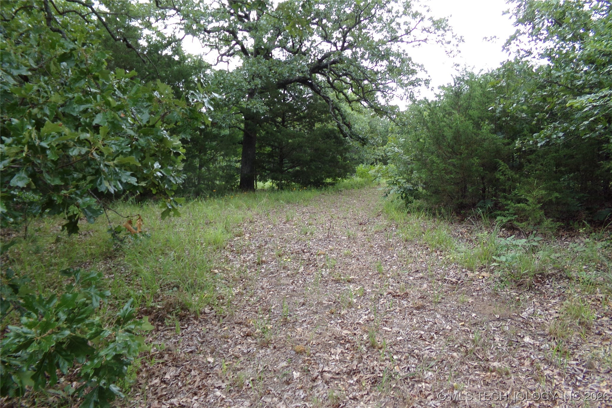 257 Restful Road Property Photo 29