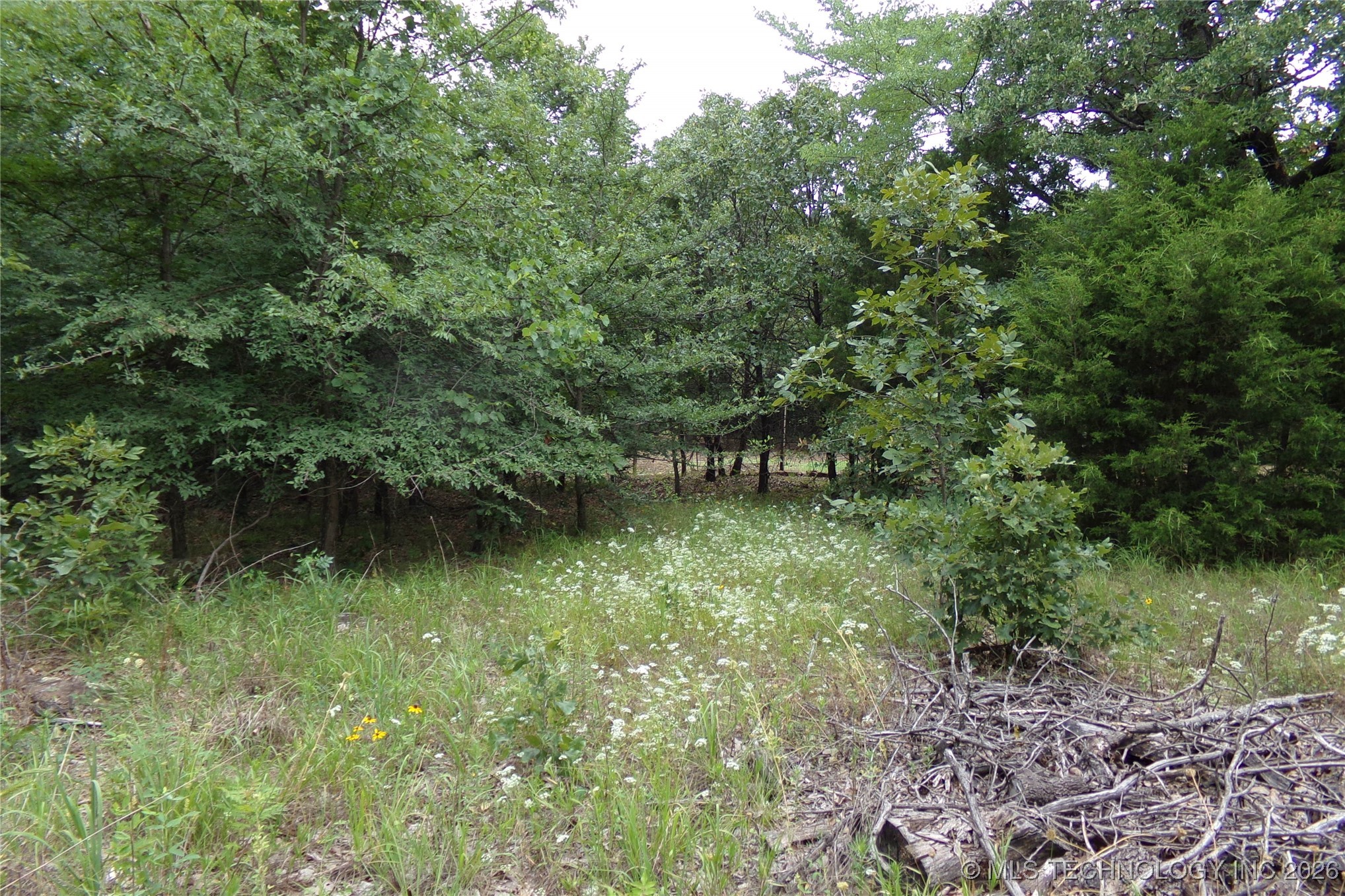 257 Restful Road Property Photo 30