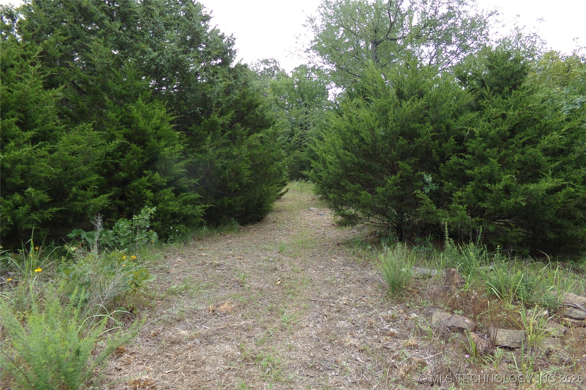 257 Restful Road Property Photo 32