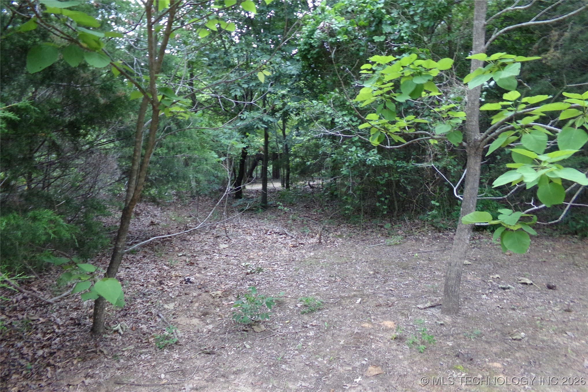 257 Restful Road Property Photo 34