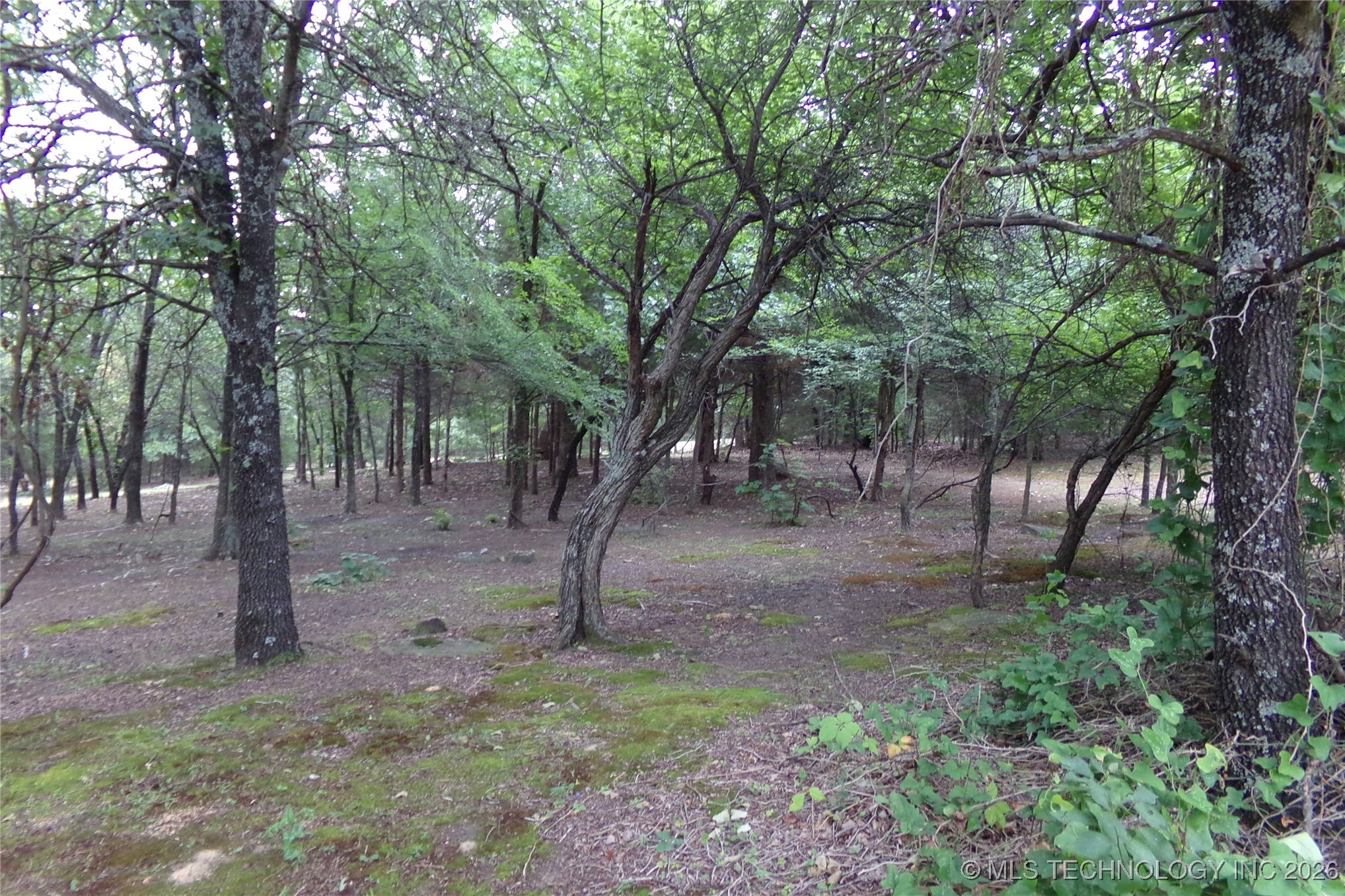 257 Restful Road Property Photo 36