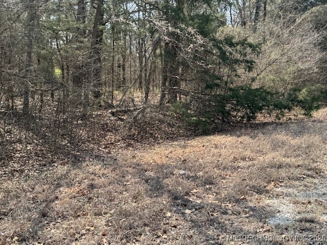 Rhonda Circle Property Photo 4