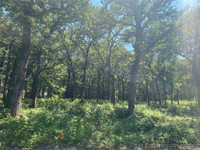 0 Majestic Circle Property Photo 2