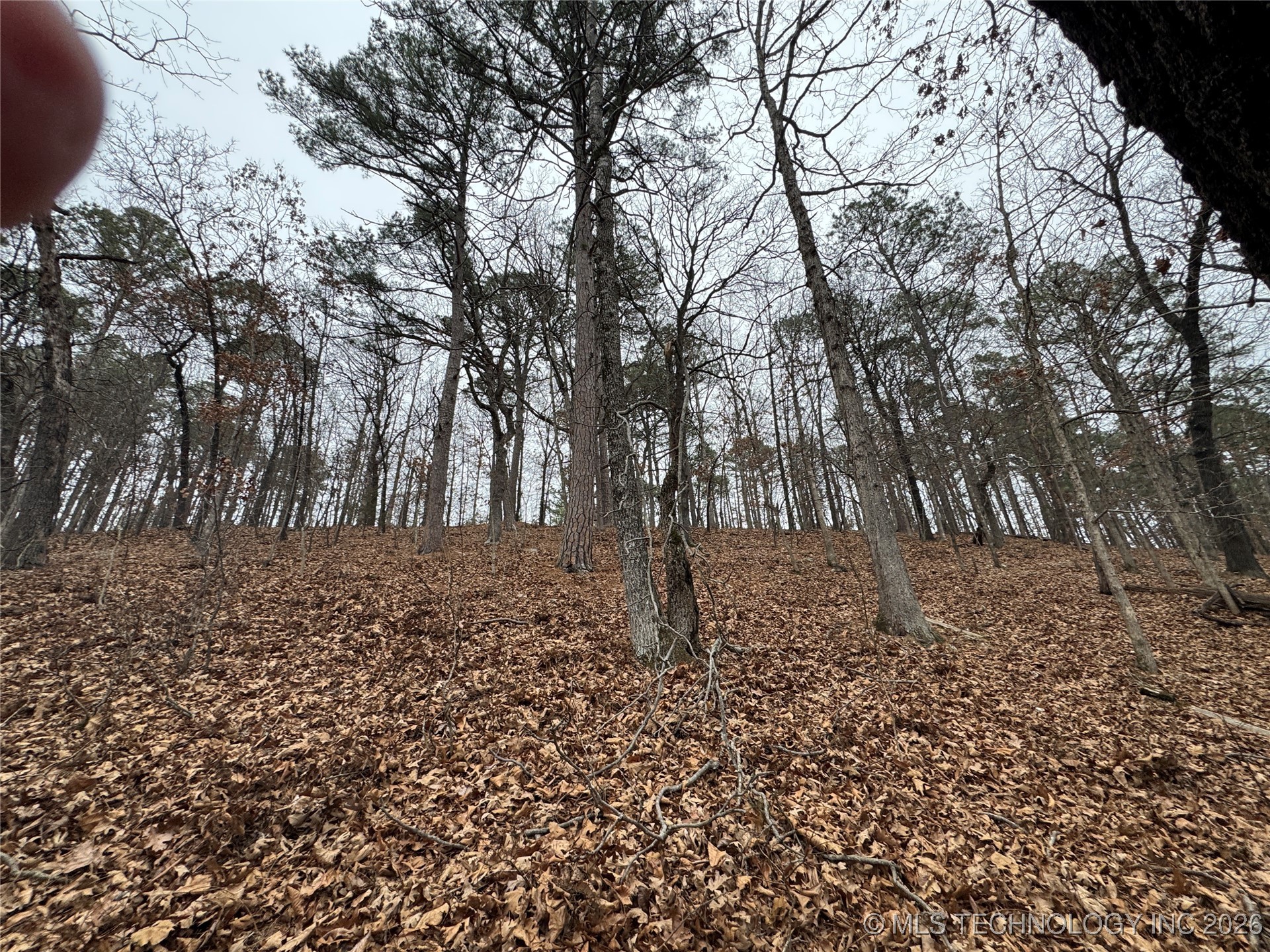 648 Highland Road Property Photo 5