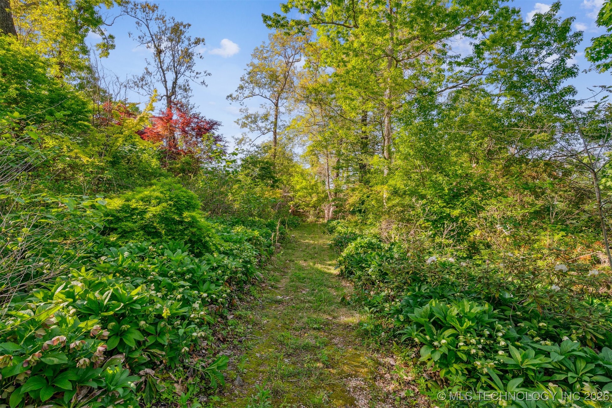 67250 E 260 Road Property Photo 48