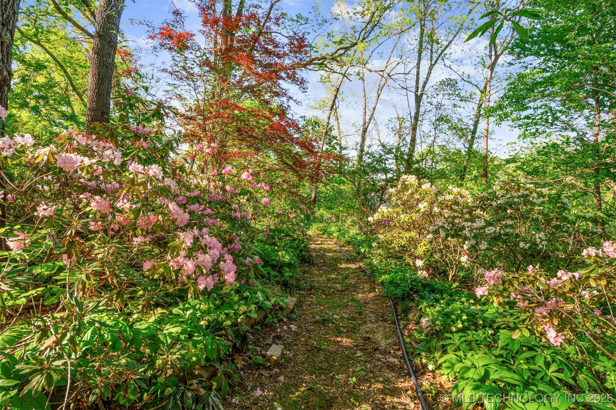 67250 E 260 Road Property Photo 49