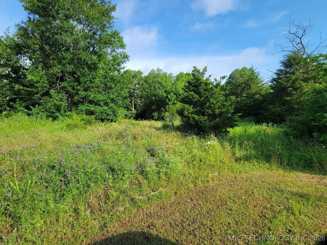 Hull Property Photo 2