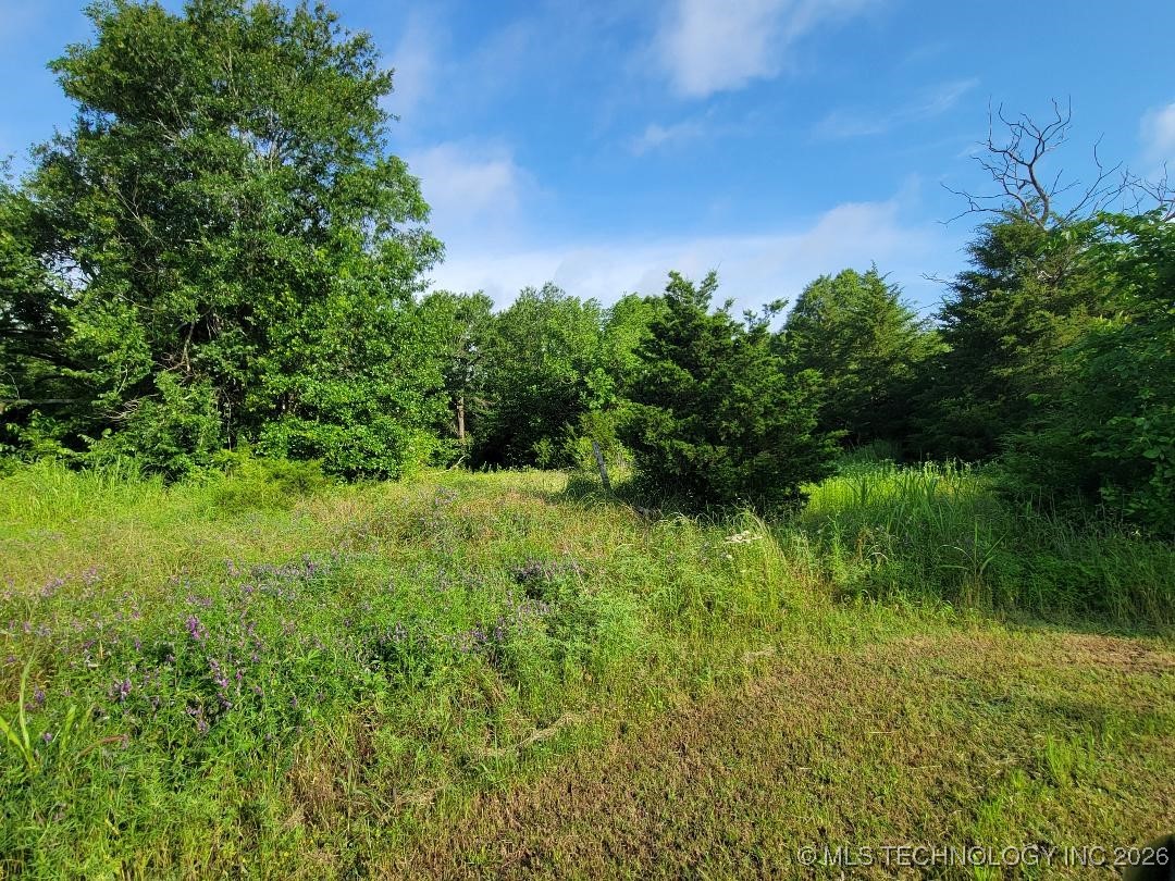 Hull Property Photo 3