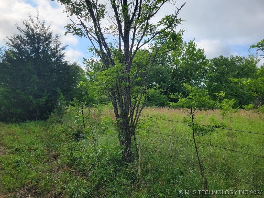 Hull Property Photo 4