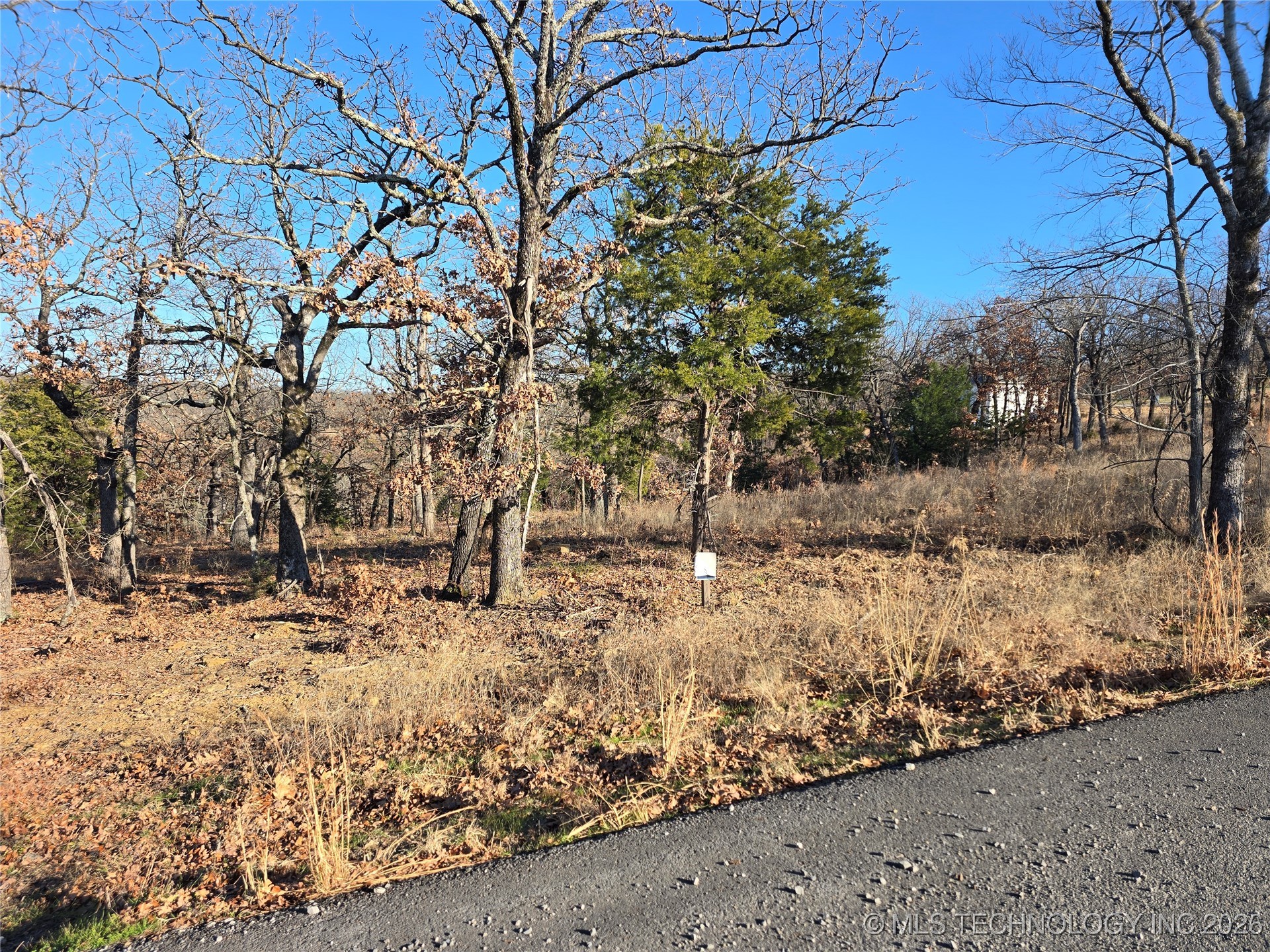 182 Patriot Pointe Property Photo 4