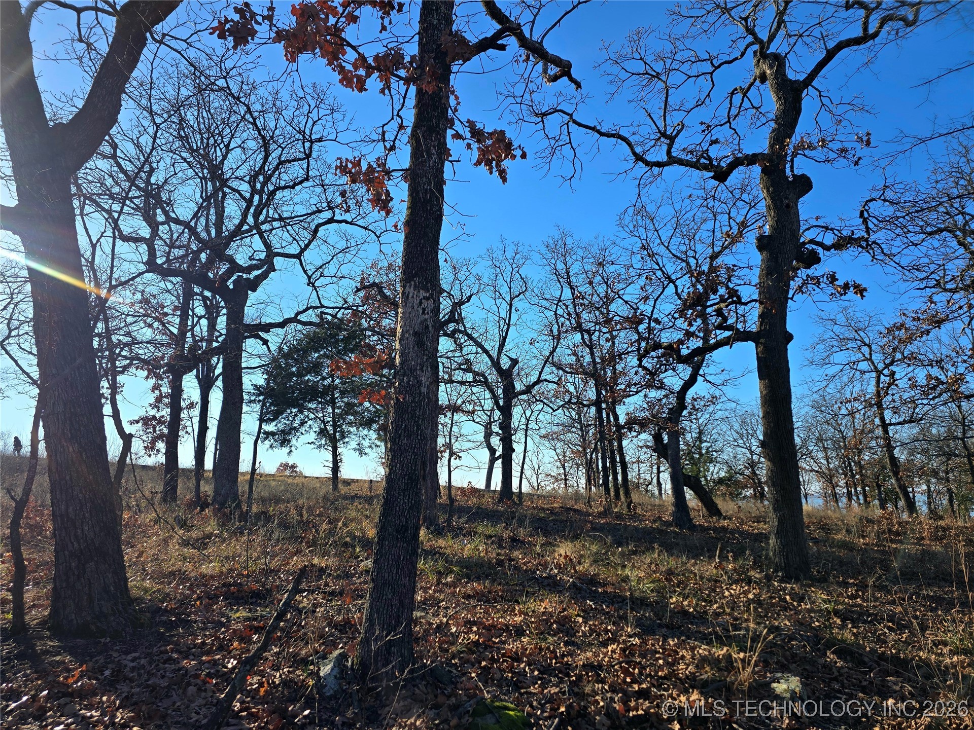 182 Patriot Pointe Property Photo 5