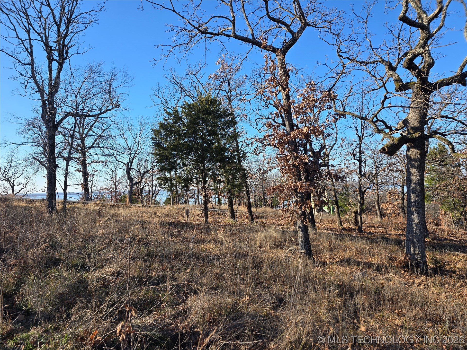 182 Patriot Pointe Property Photo 6