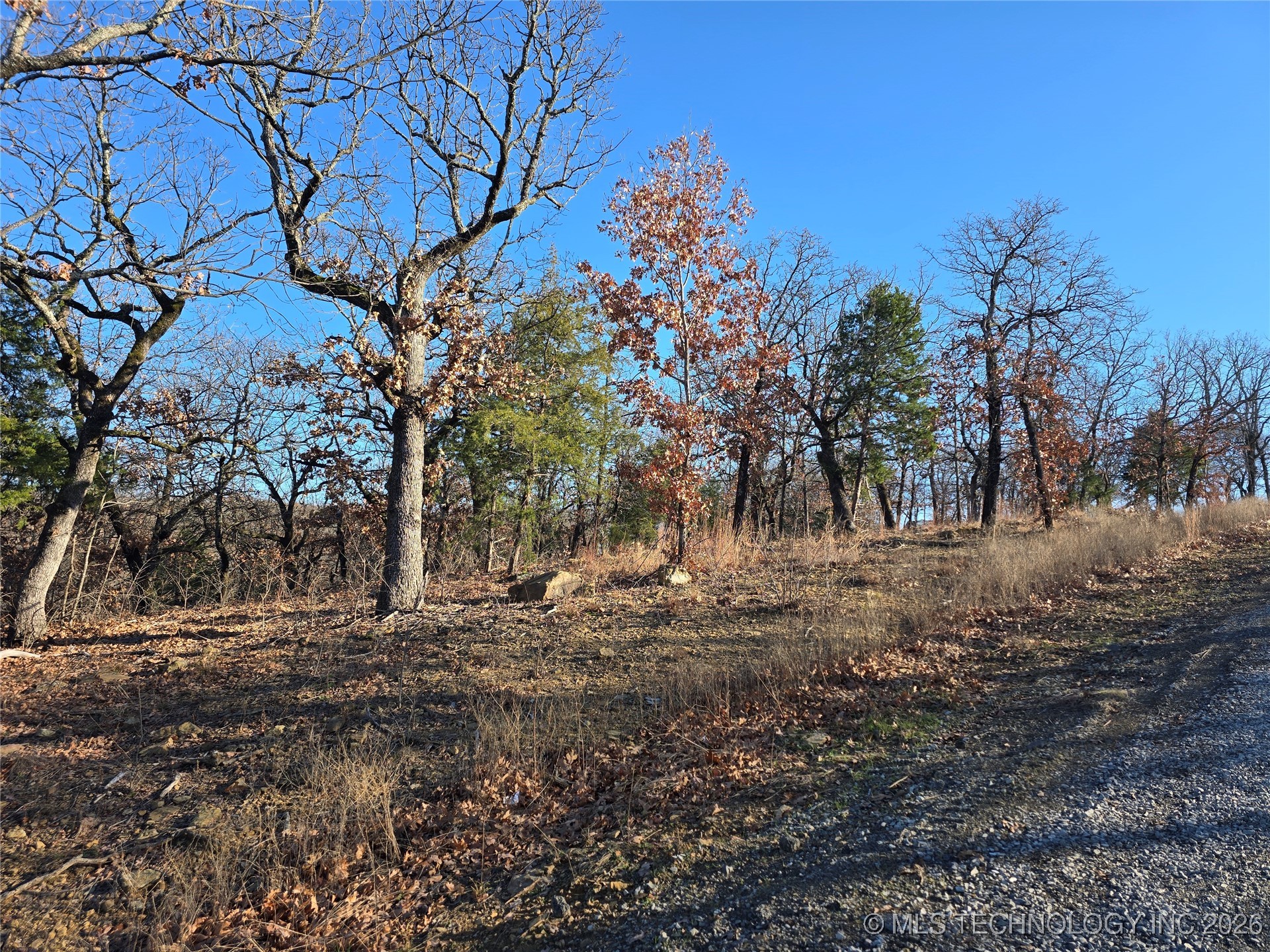 182 Patriot Pointe Property Photo 11