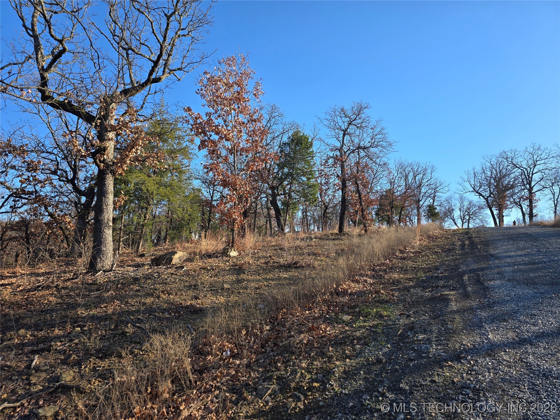 182 Patriot Pointe Property Photo 12