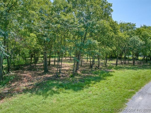 001 Jones Property Photo 3