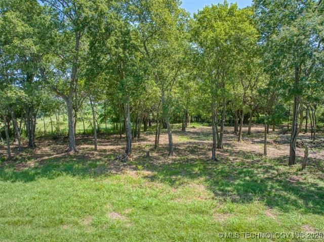 002 Jones Property Photo 4