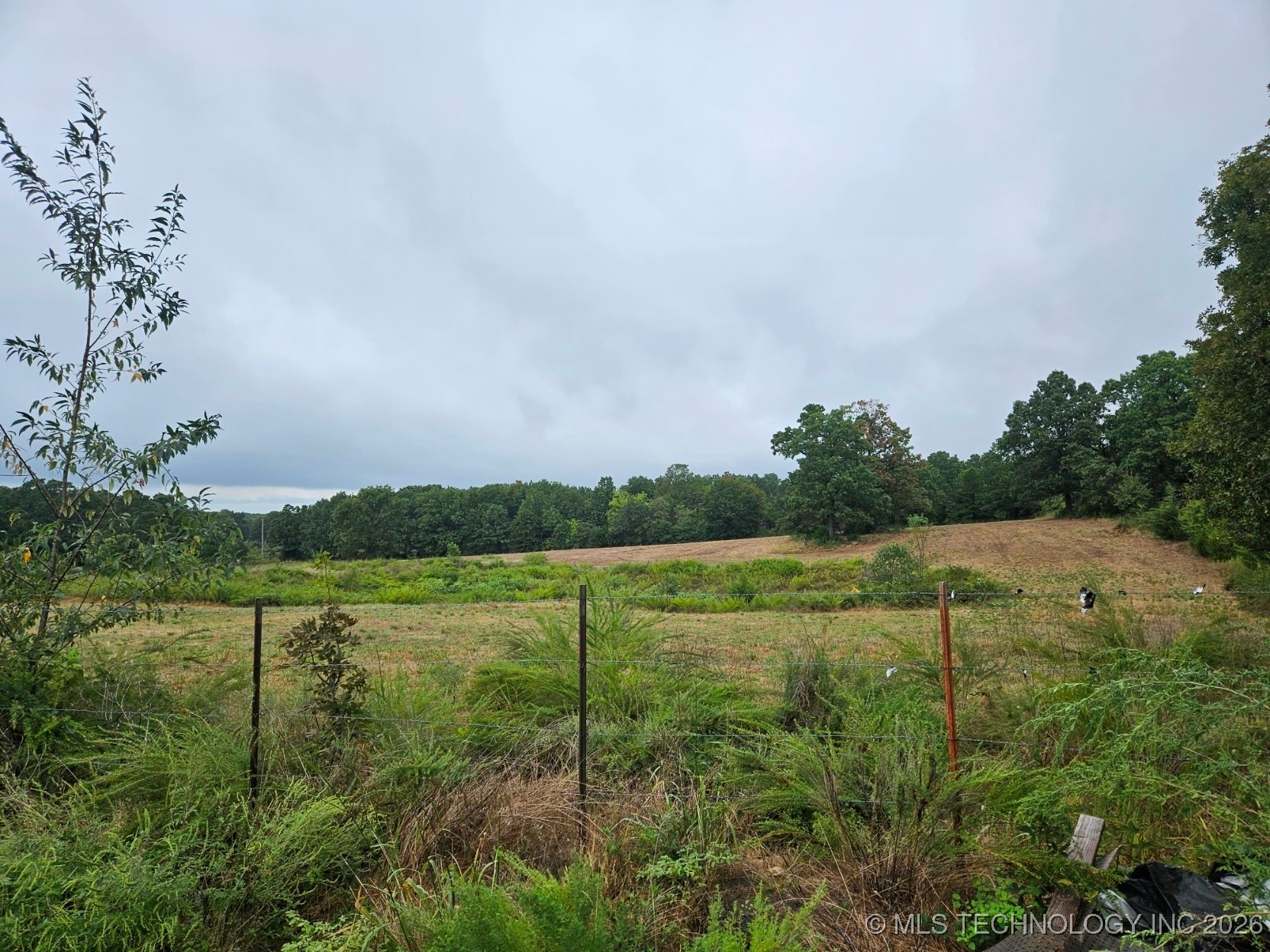 13037 E 590 Road Property Photo 20