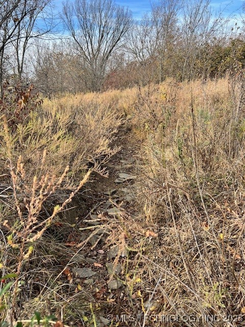 County Road 2150 Road Property Photo 20