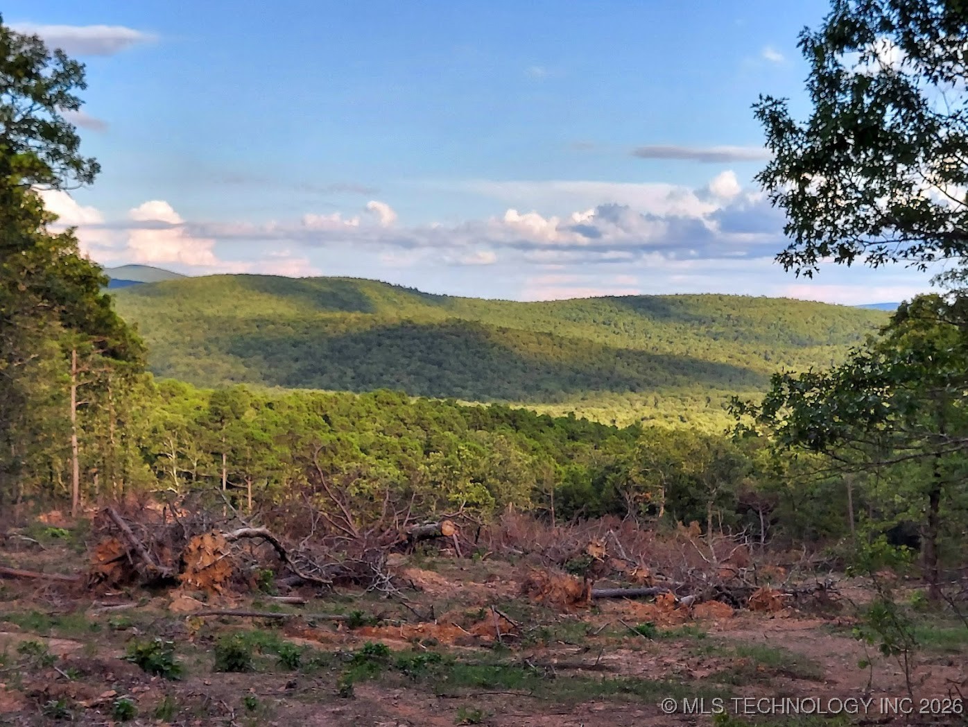 48540 Bear Creek Road Property Photo 8