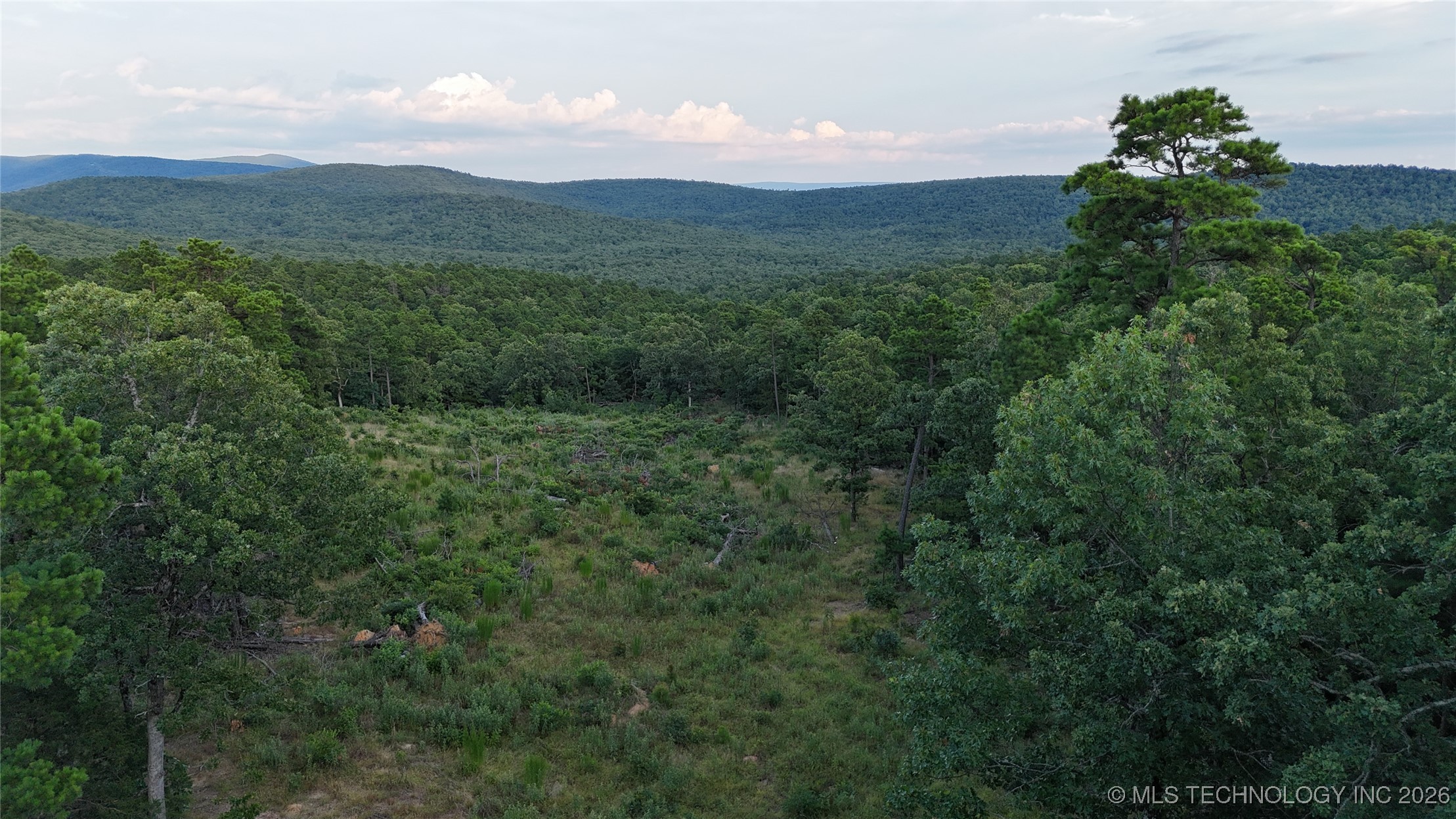 48540 Bear Creek Road Property Photo 11