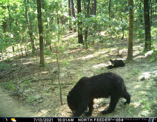 48540 Bear Creek Road Property Photo 15