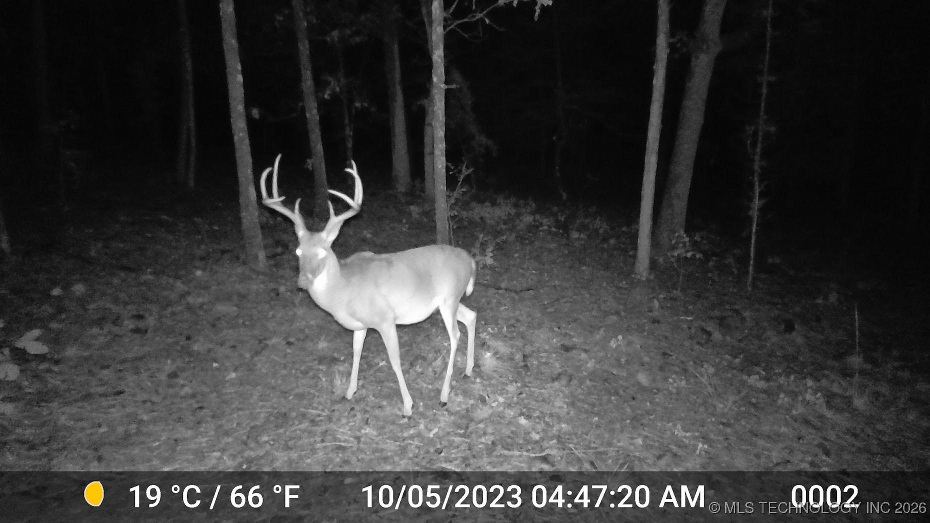 48540 Bear Creek Road Property Photo 16