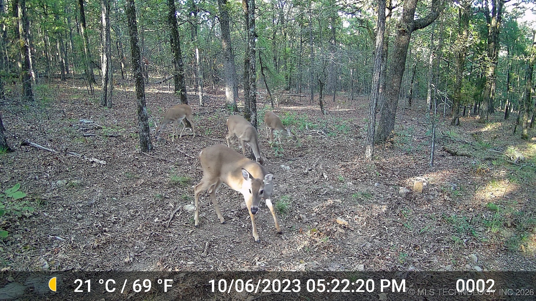 48540 Bear Creek Road Property Photo 17