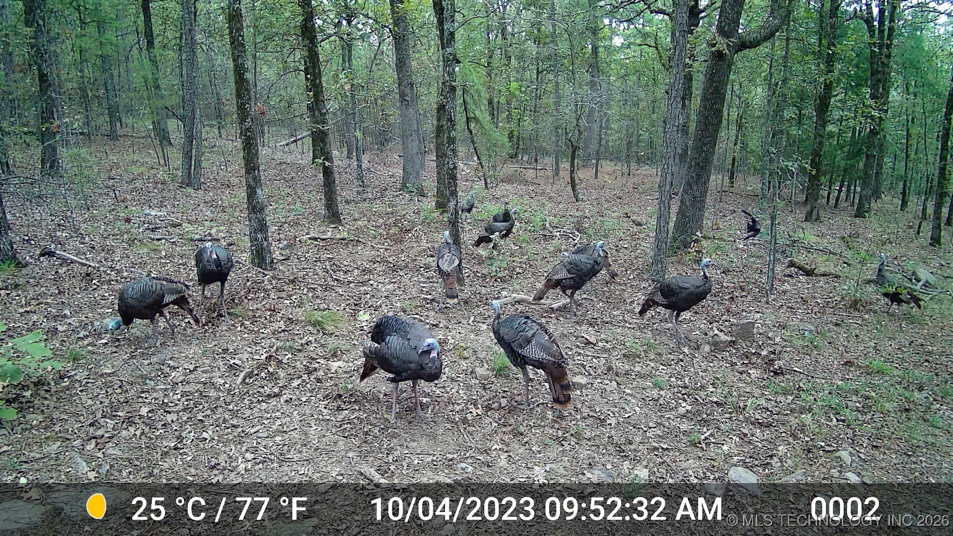 48540 Bear Creek Road Property Photo 18