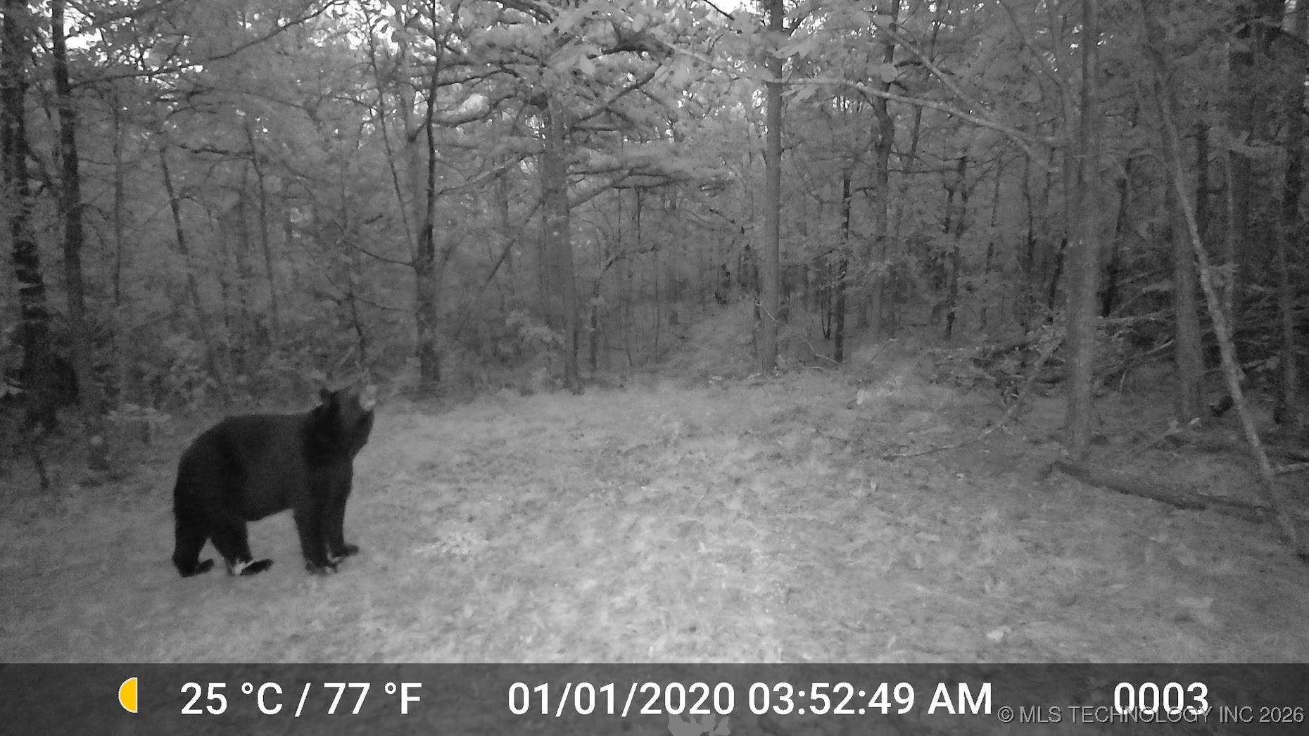 48540 Bear Creek Road Property Photo 19