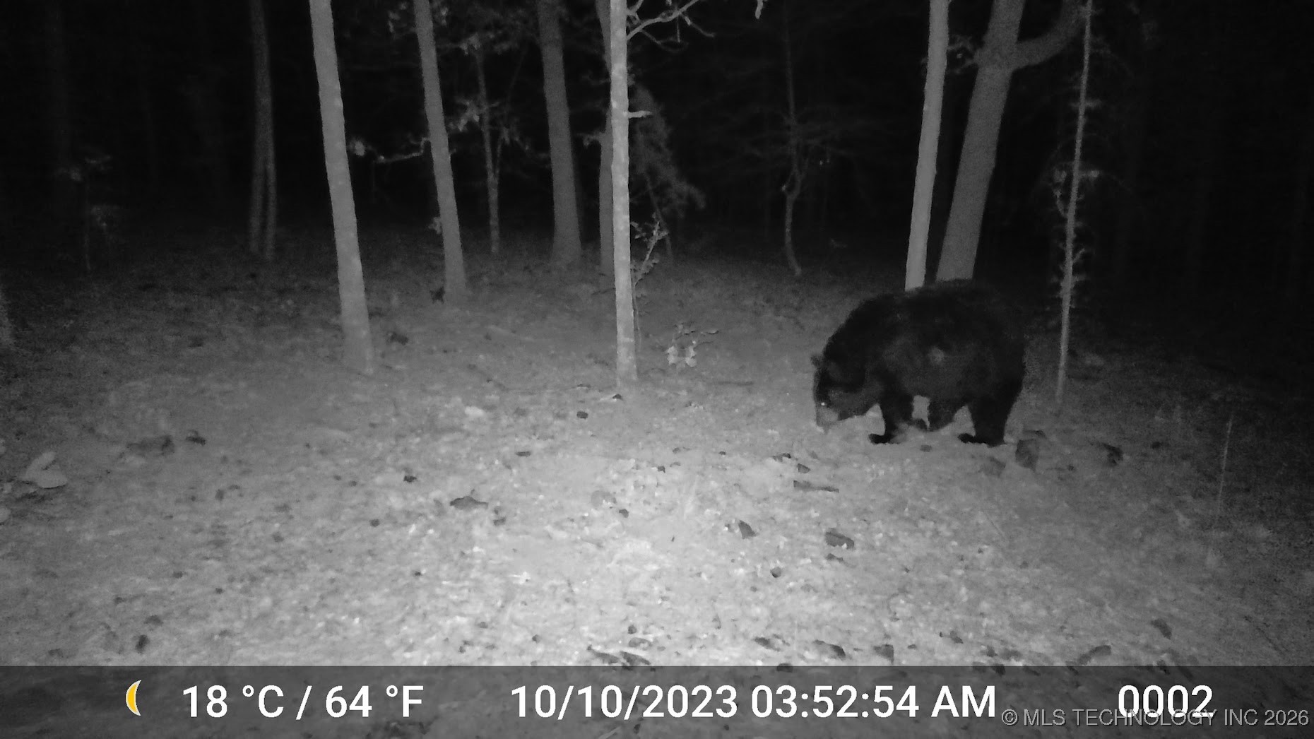 48540 Bear Creek Road Property Photo 20