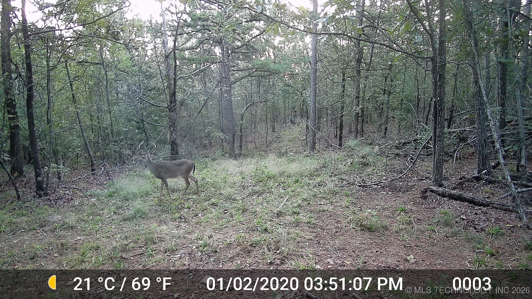 48540 Bear Creek Road Property Photo 21