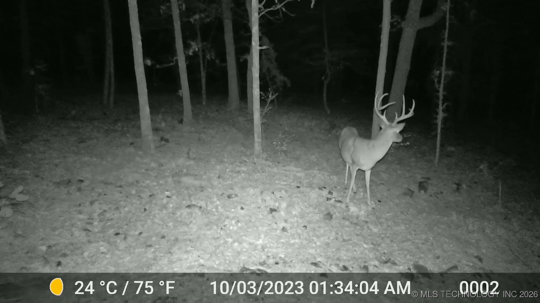 48540 Bear Creek Road Property Photo 22