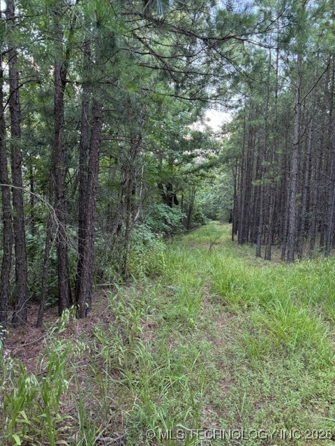 48540 Bear Creek Road Property Photo 24