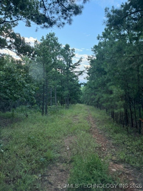 48540 Bear Creek Road Property Photo 25