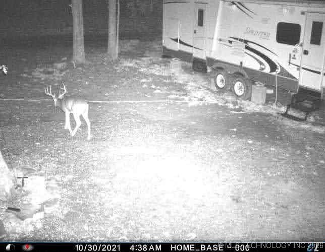 48540 Bear Creek Road Property Photo 26