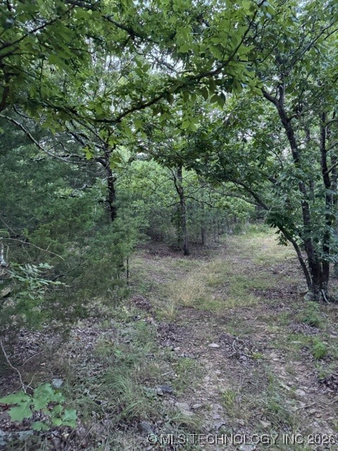 48540 Bear Creek Road Property Photo 27