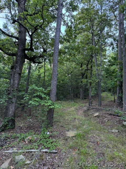 48540 Bear Creek Road Property Photo 28